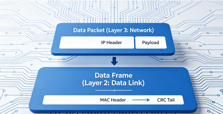 Data Packet vs Data Frame Core Networking Differences – Ebyte Official ...