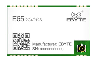 EBYTE E65-2G4T12S 2,4 GHz Vollduplex Wireless Transceiver Serielles Modul Kontinuierliche Übertragung Empfänger IPEX/Stempelloch