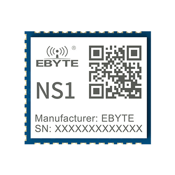 Ebyte OEM ODM In-house factory production NS1 RJ45 and TTL data transmission TCP/UDP IPv4 serial to ethernet module