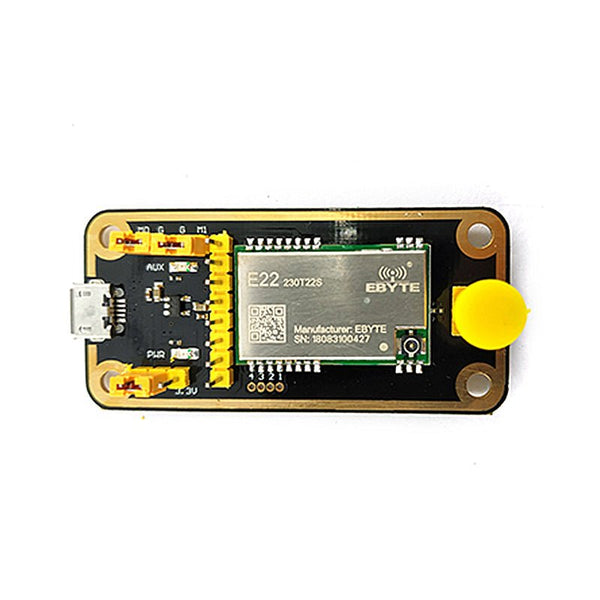 Ebyte E22 - 230TBL - 01 SX1262 LoRa Module Long Distance Transceiver Module Test Kits USB Development Board Wireless Rf Module - IOT Module Shop Manufacturer Factory