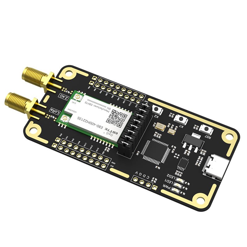 Sub Ghz Module Installation Wireless Ebyte E80-400MBL-01 USB LR1121 chip Sub-GHz 2.4GHz Satellite S-band ...