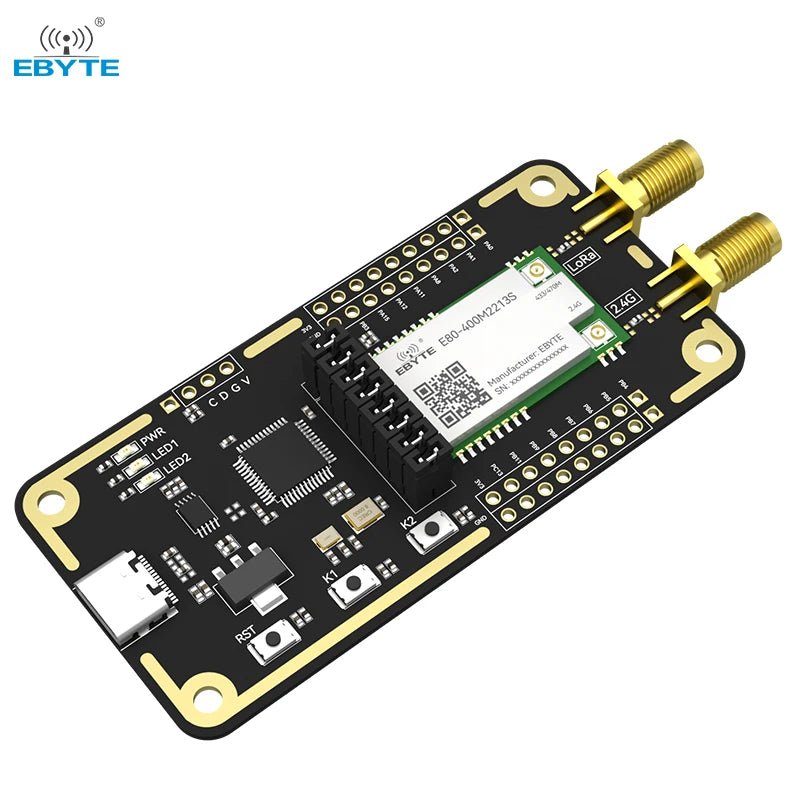 Sub Ghz Module Installation Wireless Ebyte E80-400MBL-01 USB LR1121 chip Sub-GHz 2.4GHz Satellite S-band ...