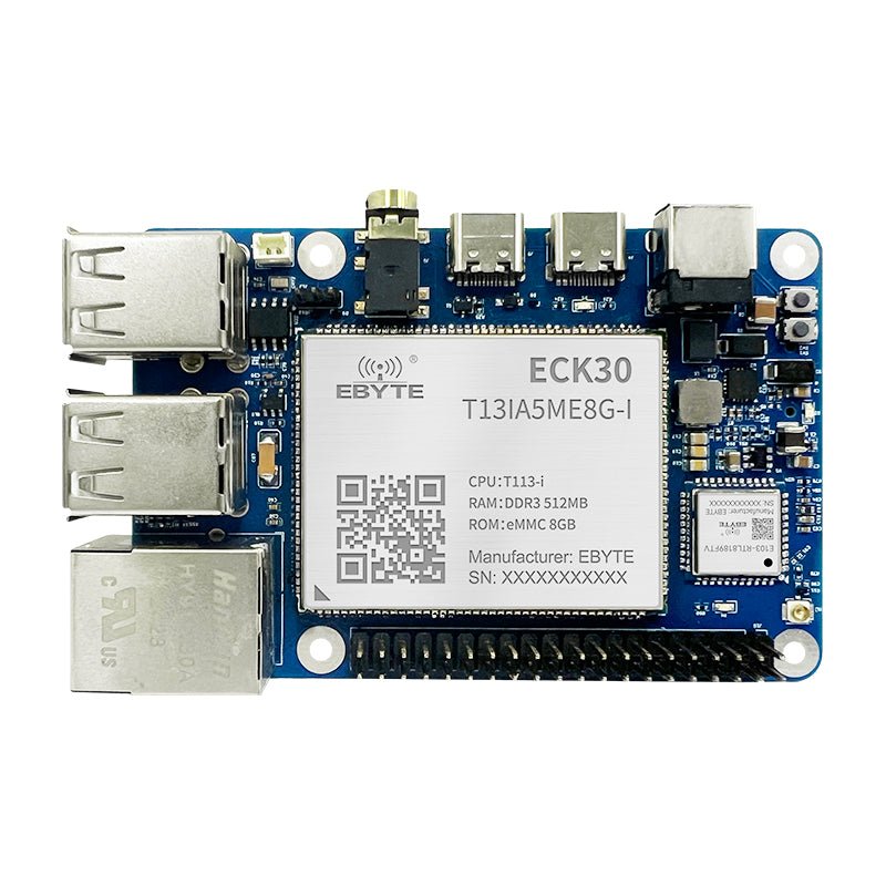 Ebyte ECB30-P4T13IA5ME8G-I 8GB 512MB Allwinner T113-i Single Board ...
